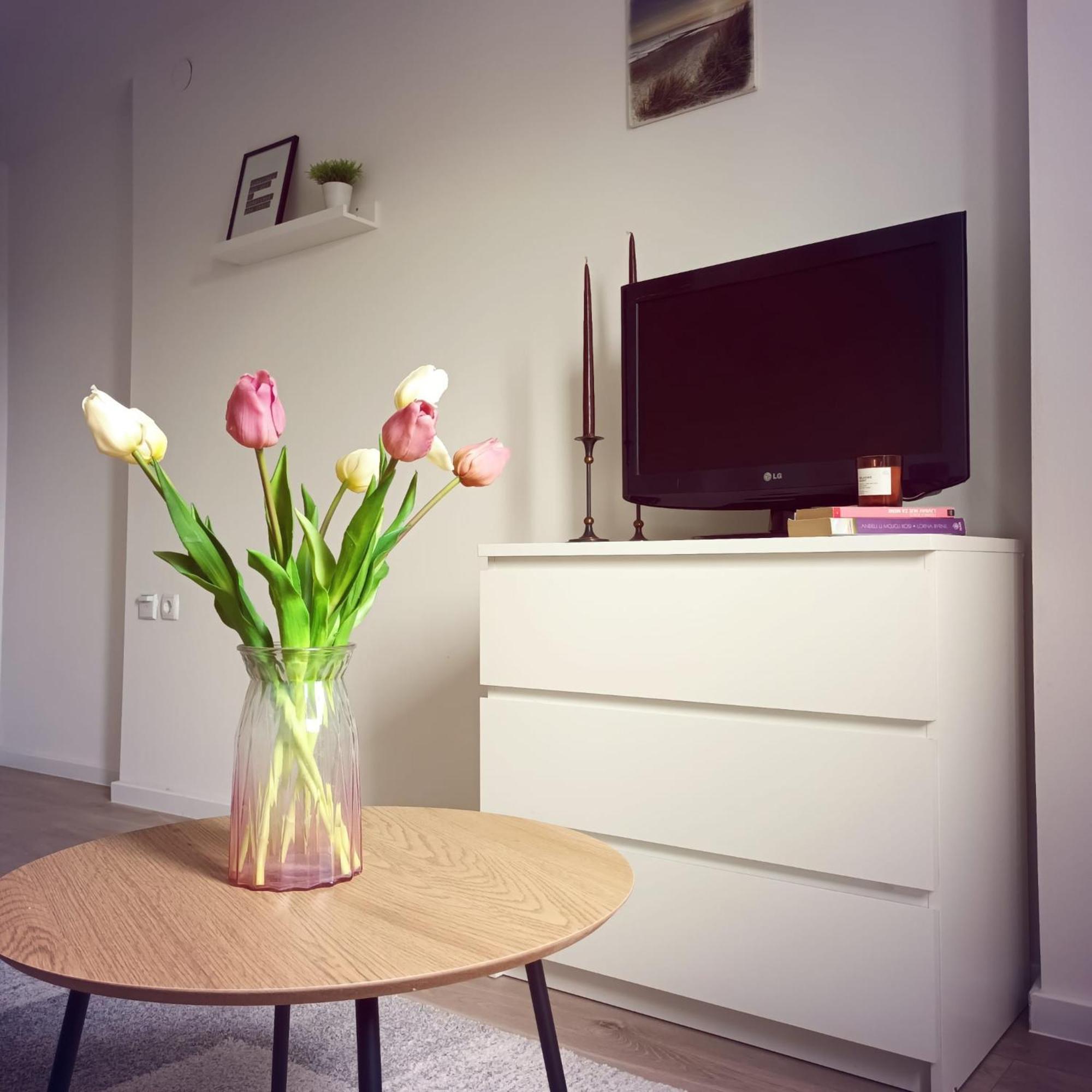 Bright And Modern Studio Near City Center Lejlighed Zagreb Eksteriør billede